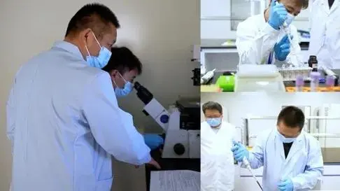 微信图片_20250508080912.png 微信图片_20250508080912.png