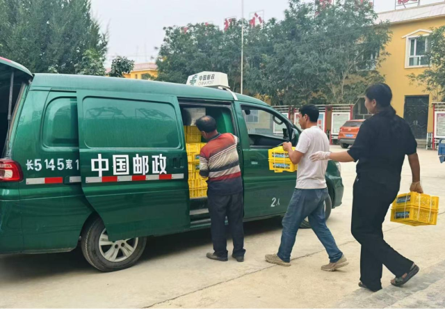 图片1(5).png