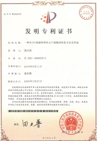 微信图片_20250905201306_4_20.png
