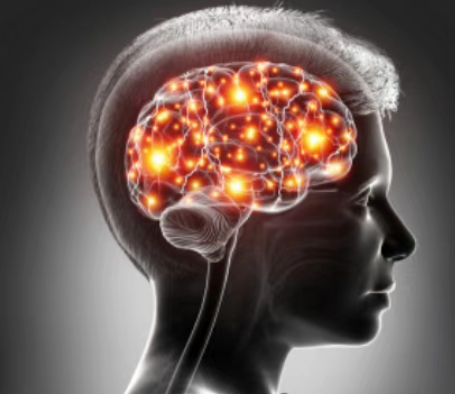 微信图片_20250905201504_20_20.png 微信图片_20250905201504_20_20.png