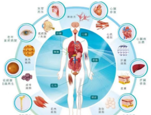 微信图片_20250905201504_25_20.png 微信图片_20250905201504_25_20.png